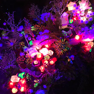 The Evolution of Meow Wolf: Why Our Brains Love Unique, Immersive Art