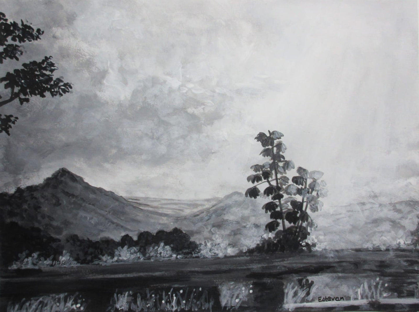 Grisaille Landscape Series: North Coast Evening Drive Creator Collective