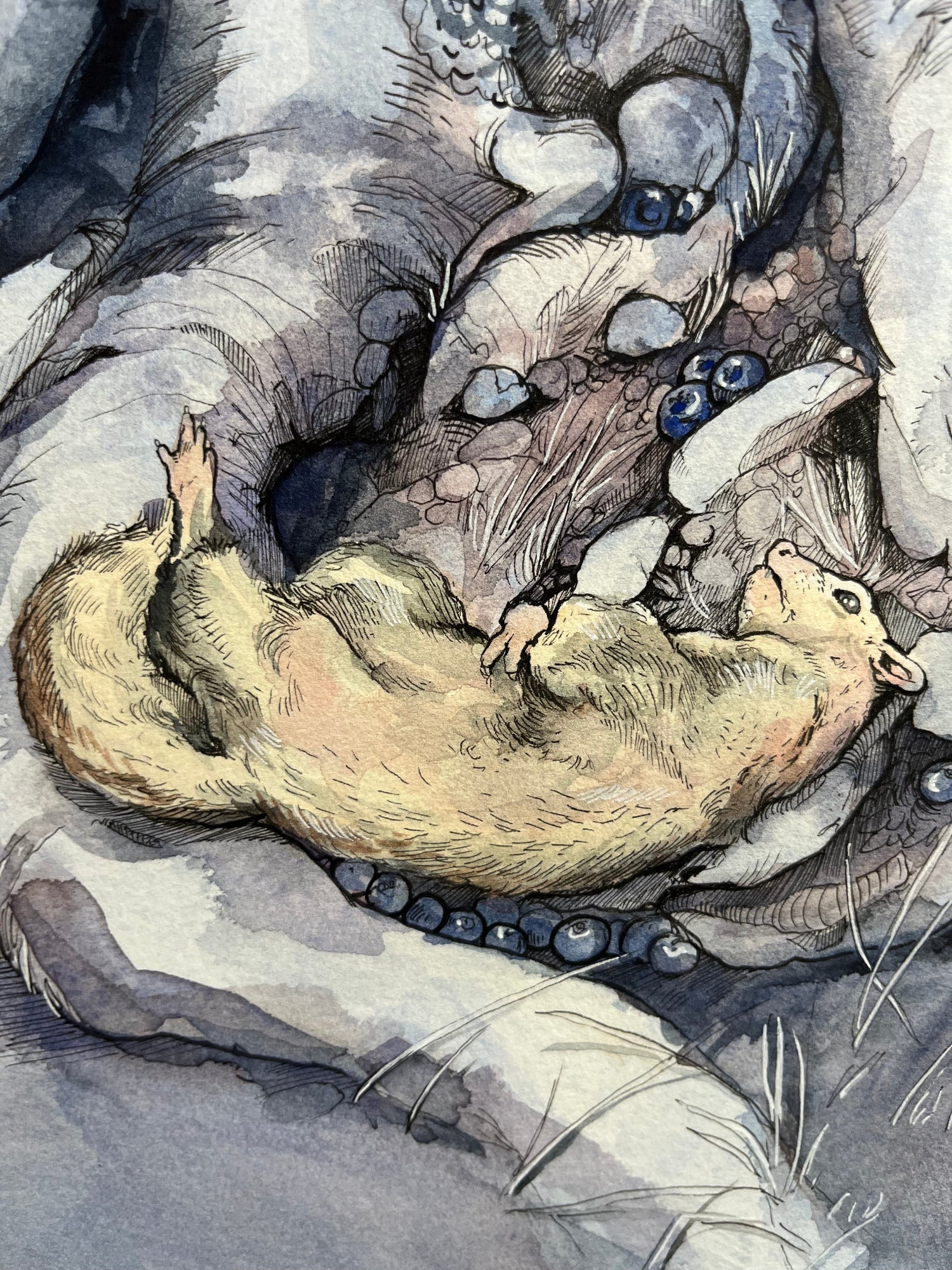 White Ferret Creator Collective