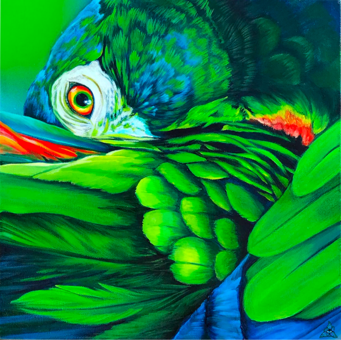 Blue Crowned Conure Creator Collective