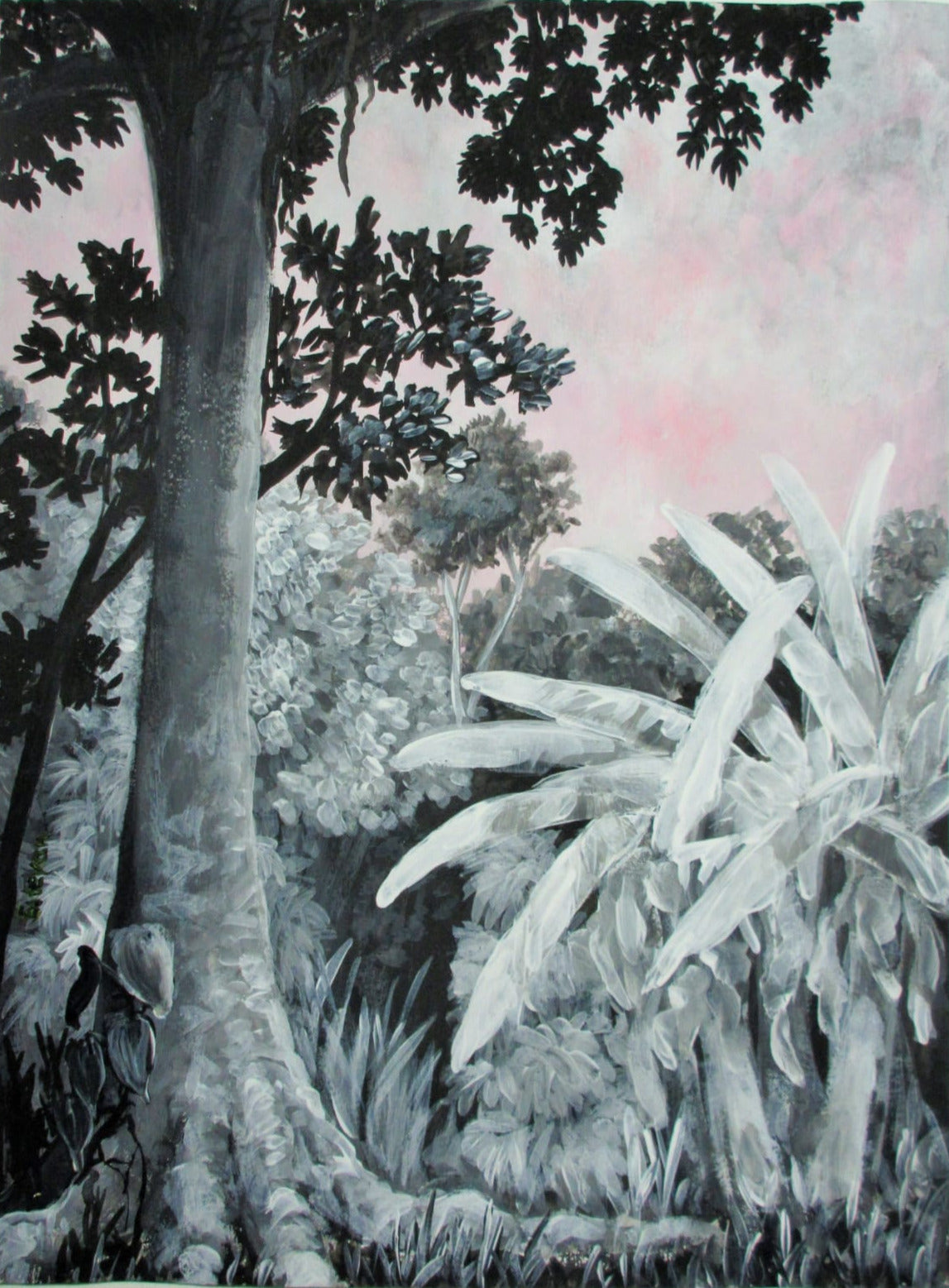 Grisaille Landscape Series: Young Silk Cotton Tree